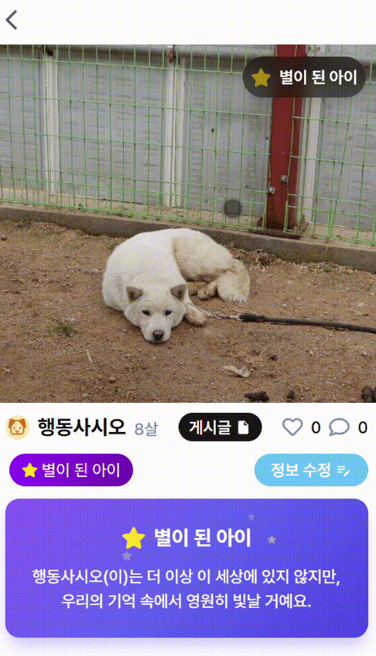 행복하개 썸네일 2